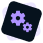 Customize Your Quiz
