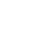 Ikona