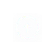 Icon Training