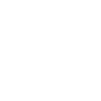 Icon Training