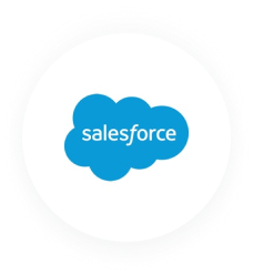 Icon saleforce