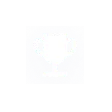 Icon Training