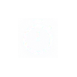 Icon Training