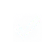 Icon Training