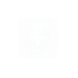 Icon Training